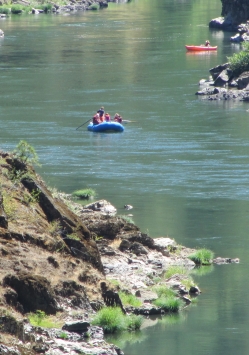 Rogue River Rafting